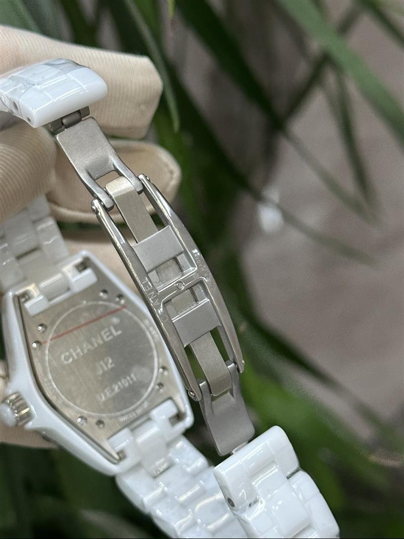 202457162252317 1000